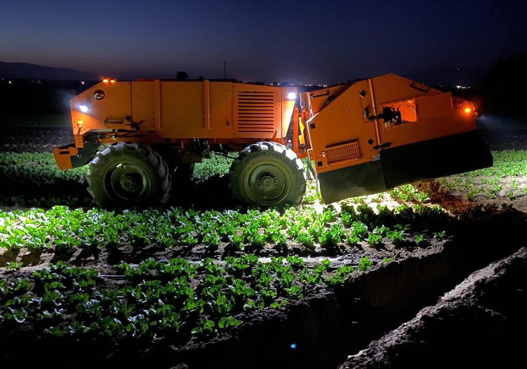 Autonomous robotic weeder working at night in a lettuce field