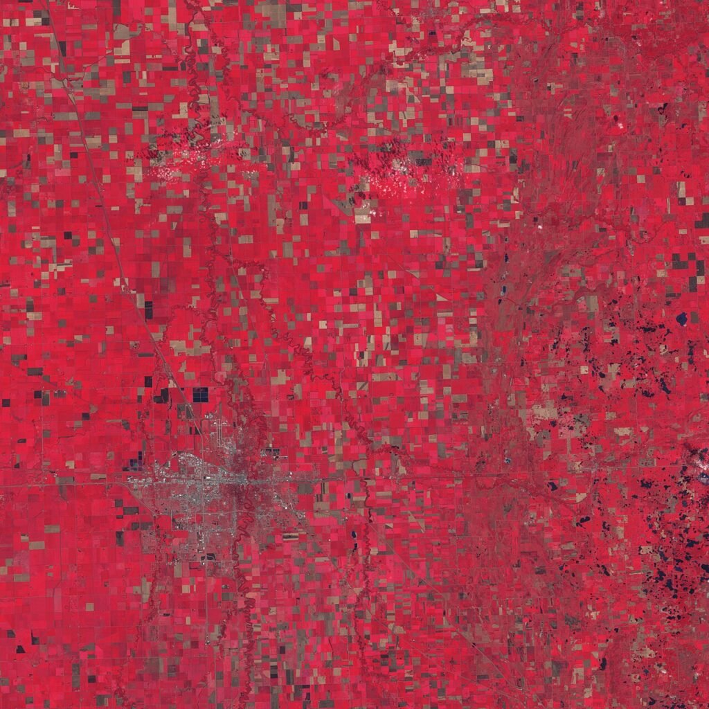 Landsat false-colour infrared image of the same Minnesota farmland, with fields shown by crop condition
