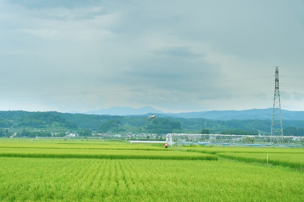 Agricultural drone flying over a rice field to reveal crop variability for irrigation zoning